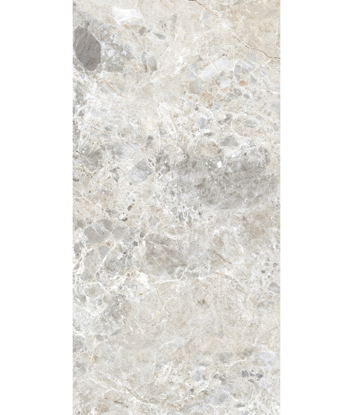 Керамогранит BRECCIA PARADISO SILVER LEVIGATO 60x120