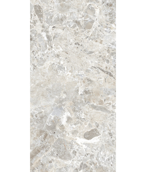 Керамогранит BRECCIA PARADISO SILVER LEVIGATO 60x120