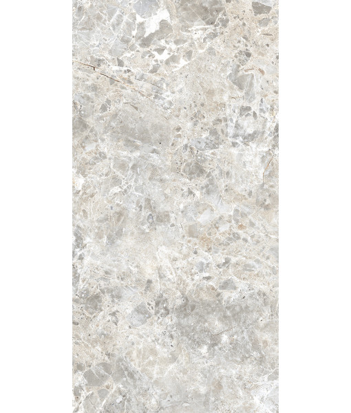 Керамогранит BRECCIA PARADISO SILVER LEVIGATO 60x120
