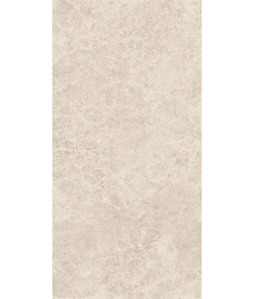 Керамогранит ERA DELIC. BEIGE NAT R60X120