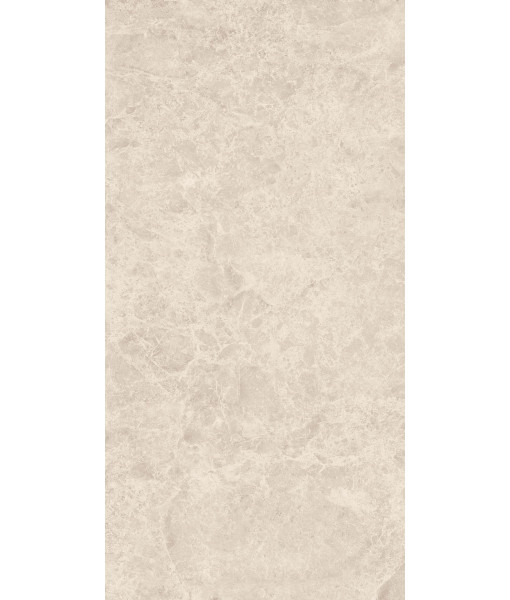 Керамогранит ERA DELIC. BEIGE NAT R60X120