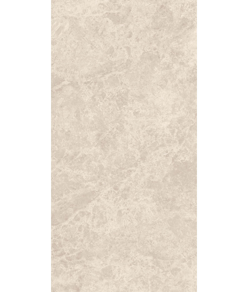 Керамогранит ERA DELIC. BEIGE NAT R60X120