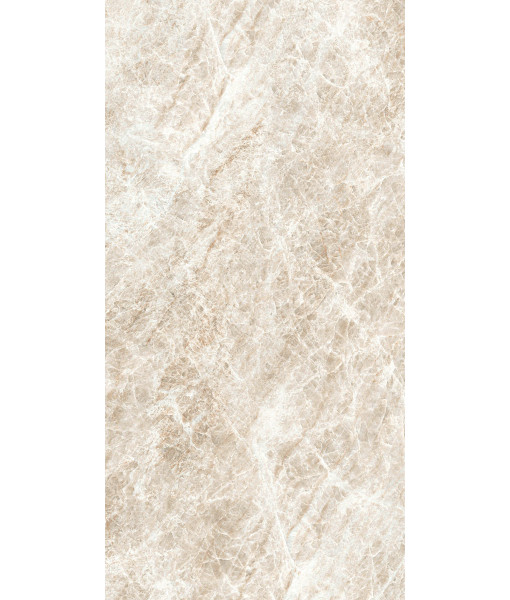 Керамогранит ICONIC LIFE HONEY YAMUNA MAT 60x120 RET