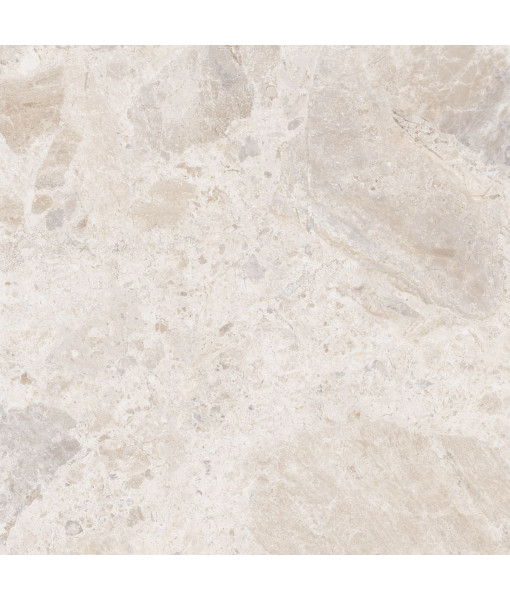 Керамический гранит  ERA BLOOM. IVORY NAT R120X120