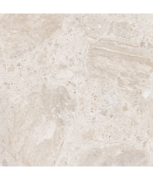 Керамический гранит  ERA BLOOM. IVORY NAT R120X120