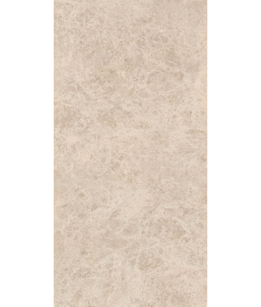 Керамогранит ERA DELIC. TAUPE NAT R60X120