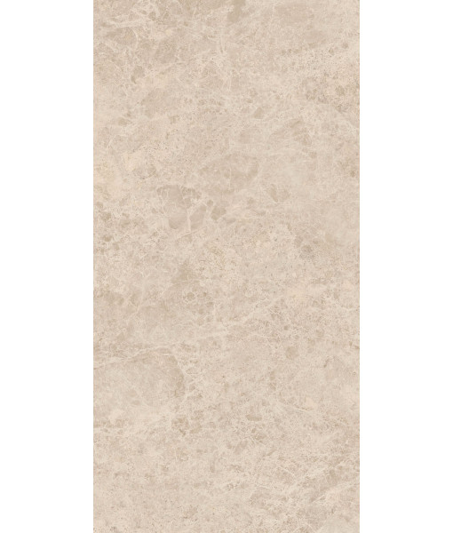Керамогранит ERA DELIC. TAUPE NAT R60X120