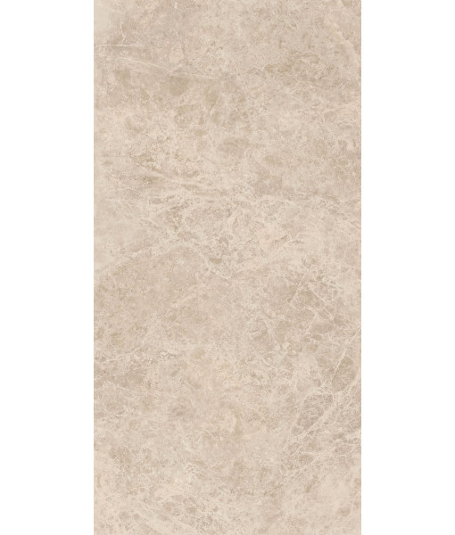 Керамогранит ERA DELIC. TAUPE NAT R60X120