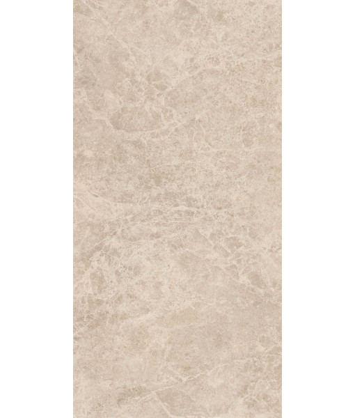Керамогранит ERA DELIC. TAUPE NAT R60X120