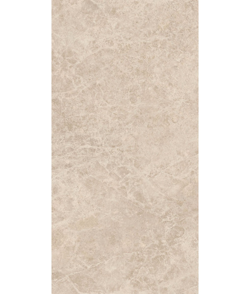 Керамогранит ERA DELIC. TAUPE NAT R60X120