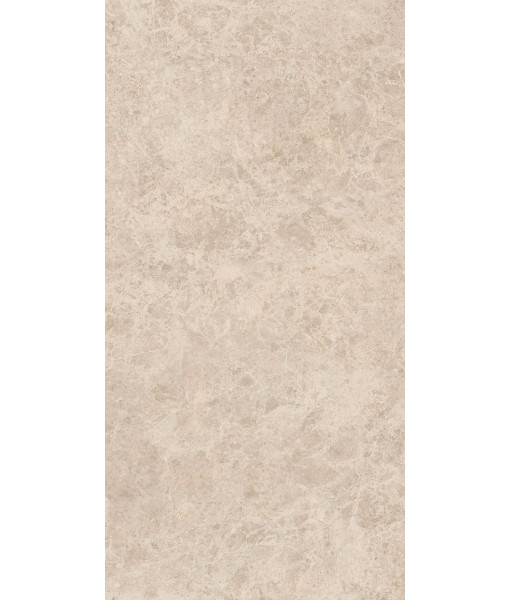 Керамогранит ERA DELIC. TAUPE NAT R60X120
