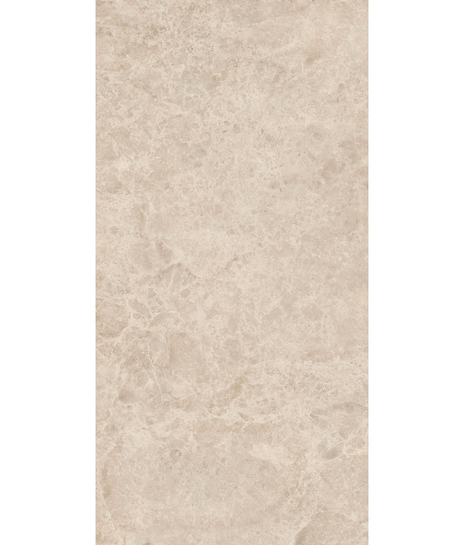 Керамогранит ERA DELIC. TAUPE NAT R60X120
