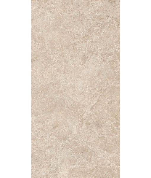 Керамогранит ERA DELIC. TAUPE NAT R60X120