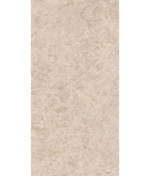 Керамогранит ERA DELIC. TAUPE NAT R60X120