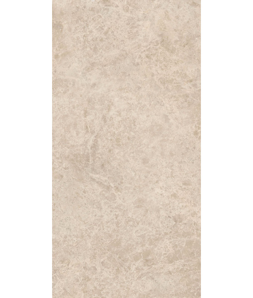 Керамогранит ERA DELIC. TAUPE NAT R60X120