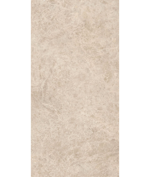 Керамогранит ERA DELIC. TAUPE NAT R60X120