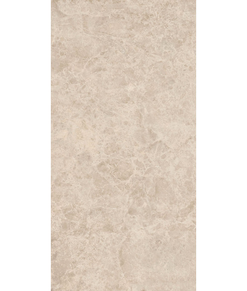 Керамогранит ERA DELIC. TAUPE NAT R60X120