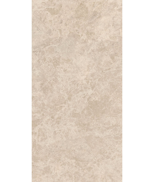 Керамогранит ERA DELIC. TAUPE NAT R60X120