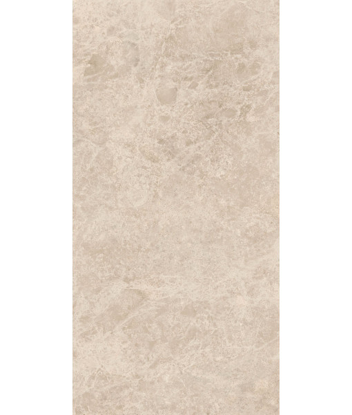 Керамогранит ERA DELIC. TAUPE NAT R60X120