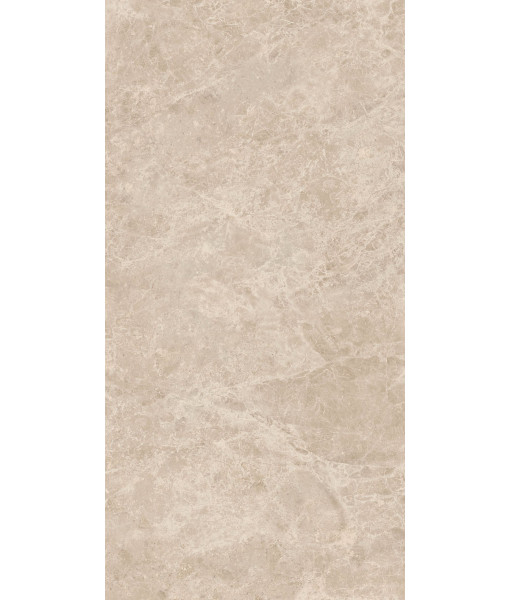 Керамогранит ERA DELIC. TAUPE NAT R60X120