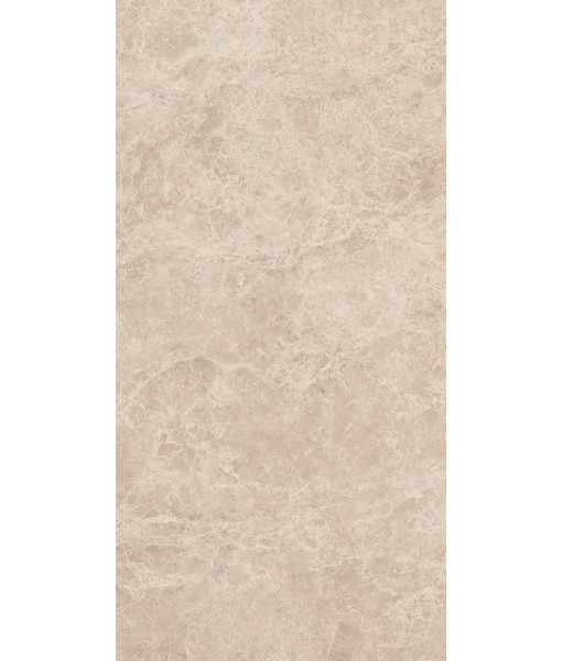 Керамогранит ERA DELIC. TAUPE NAT R60X120