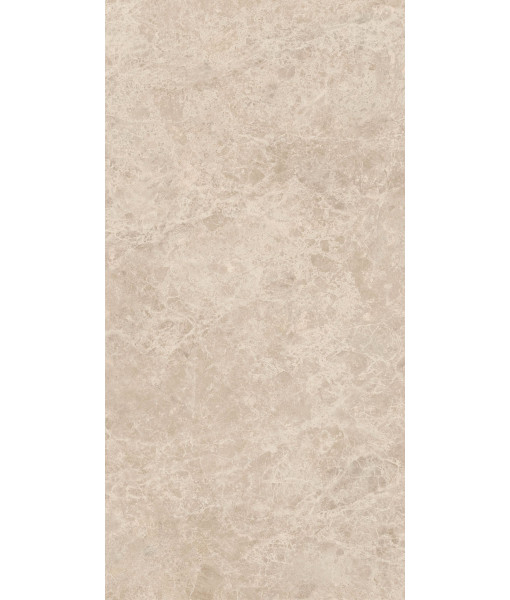Керамогранит ERA DELIC. TAUPE NAT R60X120