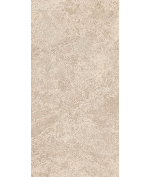 Керамогранит ERA DELIC. TAUPE NAT R60X120