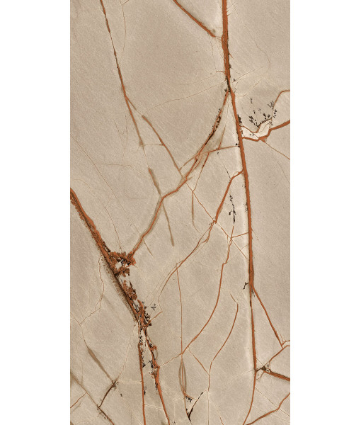 Керамогранит NATURE MOOD RAINFOREST MATTE SILK 60X120 R