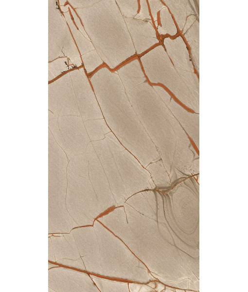 Керамогранит NATURE MOOD RAINFOREST MATTE SILK 60X120 R