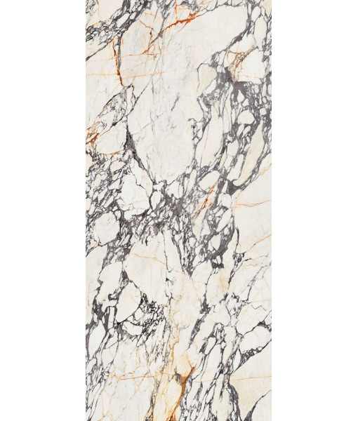 Керамогранит  SPR.TREAS.CORCHIA GOLD SOFT R 120X280