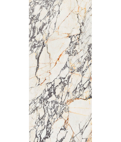Керамогранит  SPR.TREAS.CORCHIA GOLD SOFT R 120X280