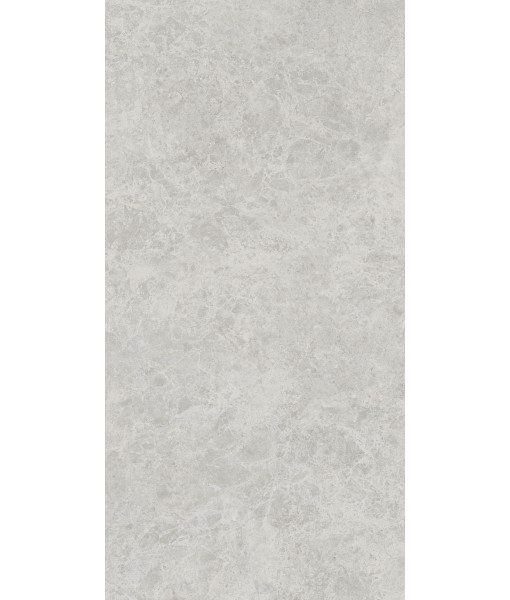 Керамогранит ERA DELIC. ASH NAT R60X120