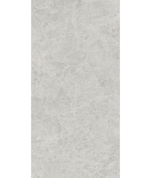 Керамогранит ERA DELIC. ASH NAT R60X120
