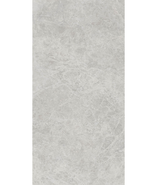Керамогранит ERA DELIC. ASH NAT R60X120
