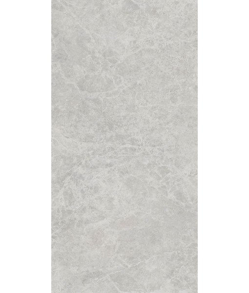 Керамогранит ERA DELIC. ASH NAT R60X120