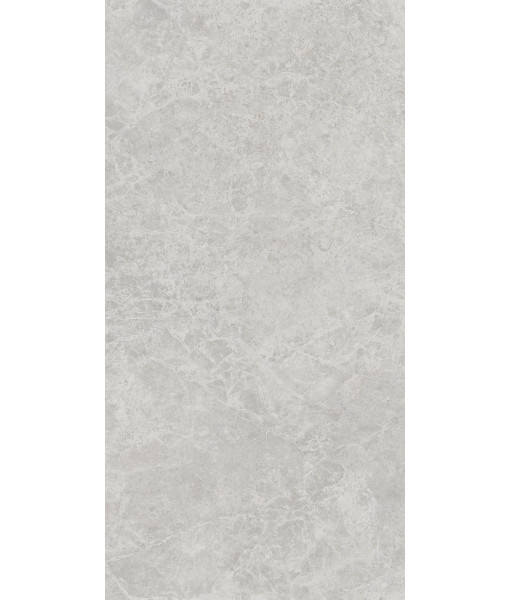 Керамогранит ERA DELIC. ASH NAT R60X120