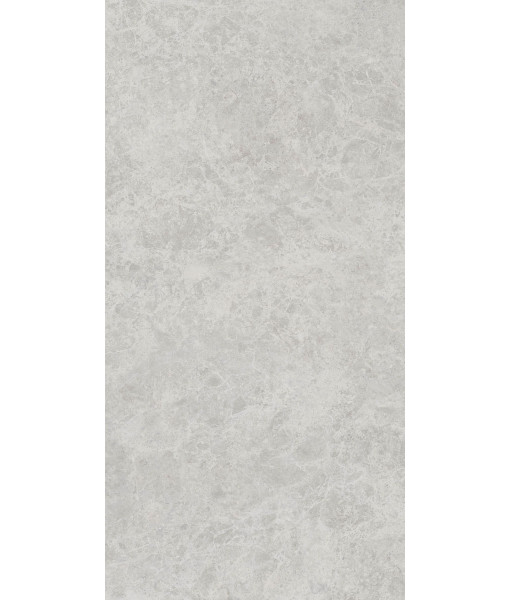 Керамогранит ERA DELIC. ASH NAT R60X120