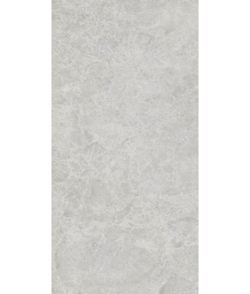 Керамогранит ERA DELIC. ASH NAT R60X120