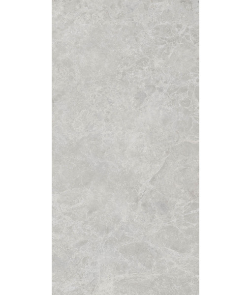 Керамогранит ERA DELIC. ASH NAT R60X120