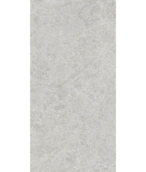 Керамогранит ERA DELIC. ASH NAT R60X120