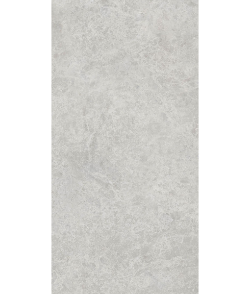 Керамогранит ERA DELIC. ASH NAT R60X120