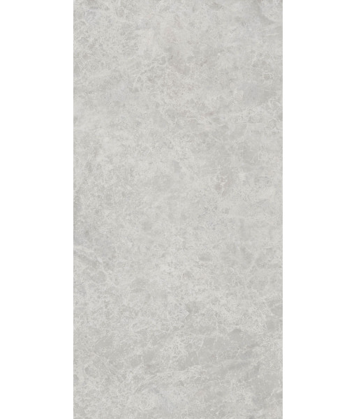 Керамогранит ERA DELIC. ASH NAT R60X120