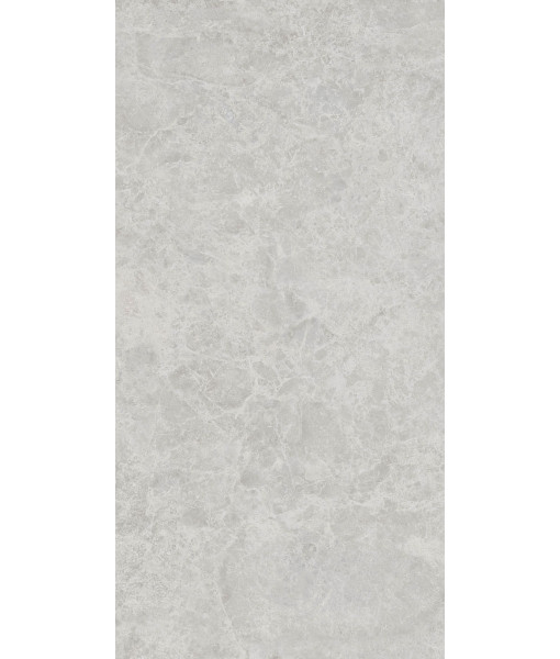 Керамогранит ERA DELIC. ASH NAT R60X120