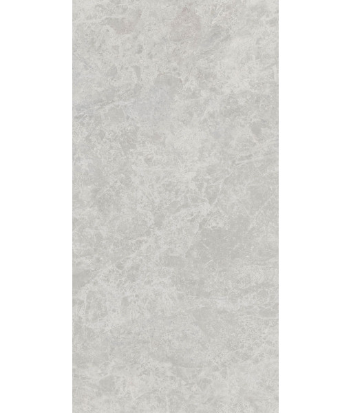 Керамогранит ERA DELIC. ASH NAT R60X120