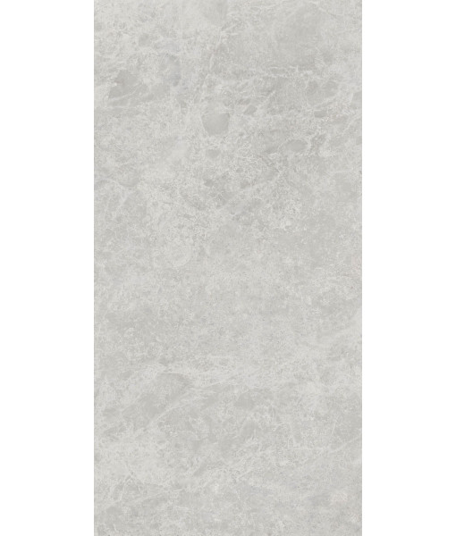 Керамогранит ERA DELIC. ASH NAT R60X120