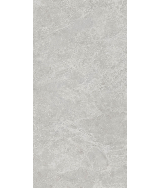 Керамогранит ERA DELIC. ASH NAT R60X120
