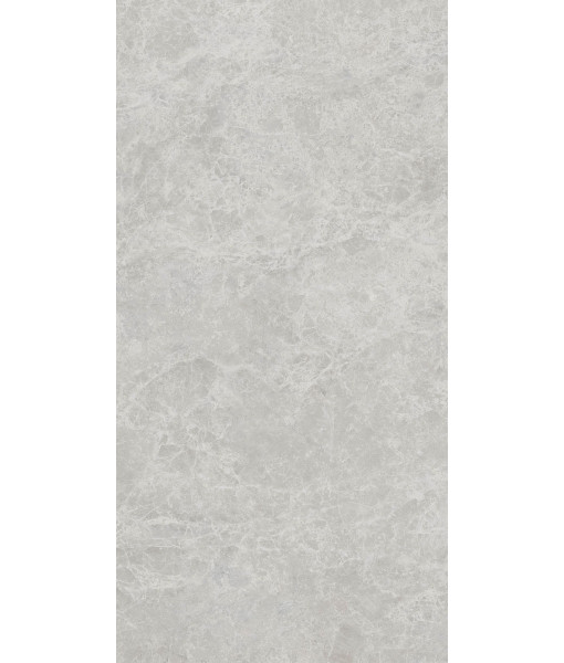Керамогранит ERA DELIC. ASH NAT R60X120