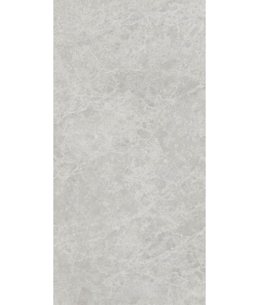 Керамогранит ERA DELIC. ASH NAT R60X120