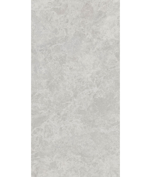 Керамогранит ERA DELIC. ASH NAT R60X120