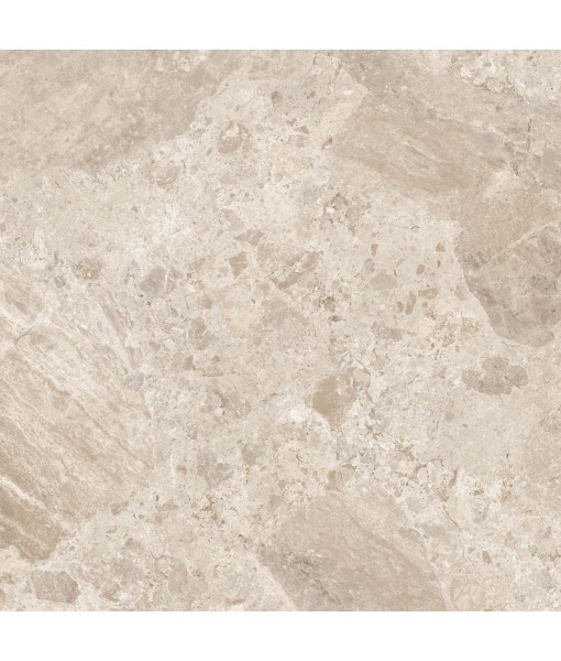 Керамический гранит  ERA BLOOM. BEIGE NAT R120X120